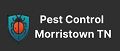 Pest Control Morristown TN